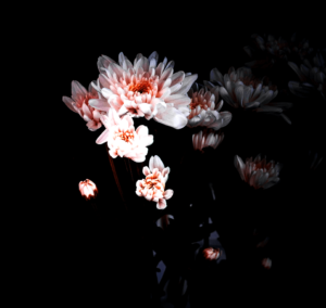 Flowers-18.png